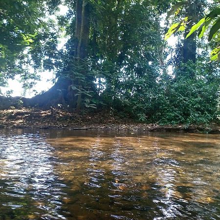 Glamping Naioth Διαμέρισμα Guápiles Εξωτερικό φωτογραφία