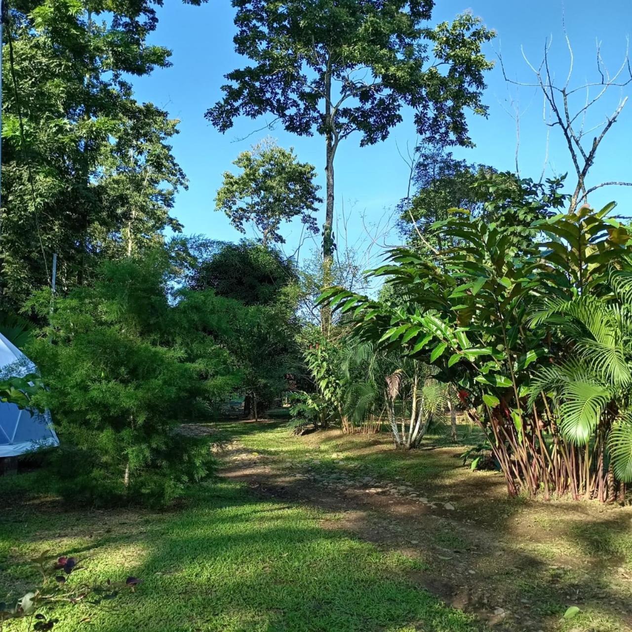 Glamping Naioth Διαμέρισμα Guápiles Εξωτερικό φωτογραφία