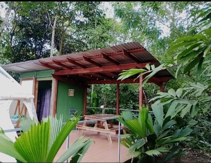 Glamping Naioth Διαμέρισμα Guápiles Εξωτερικό φωτογραφία