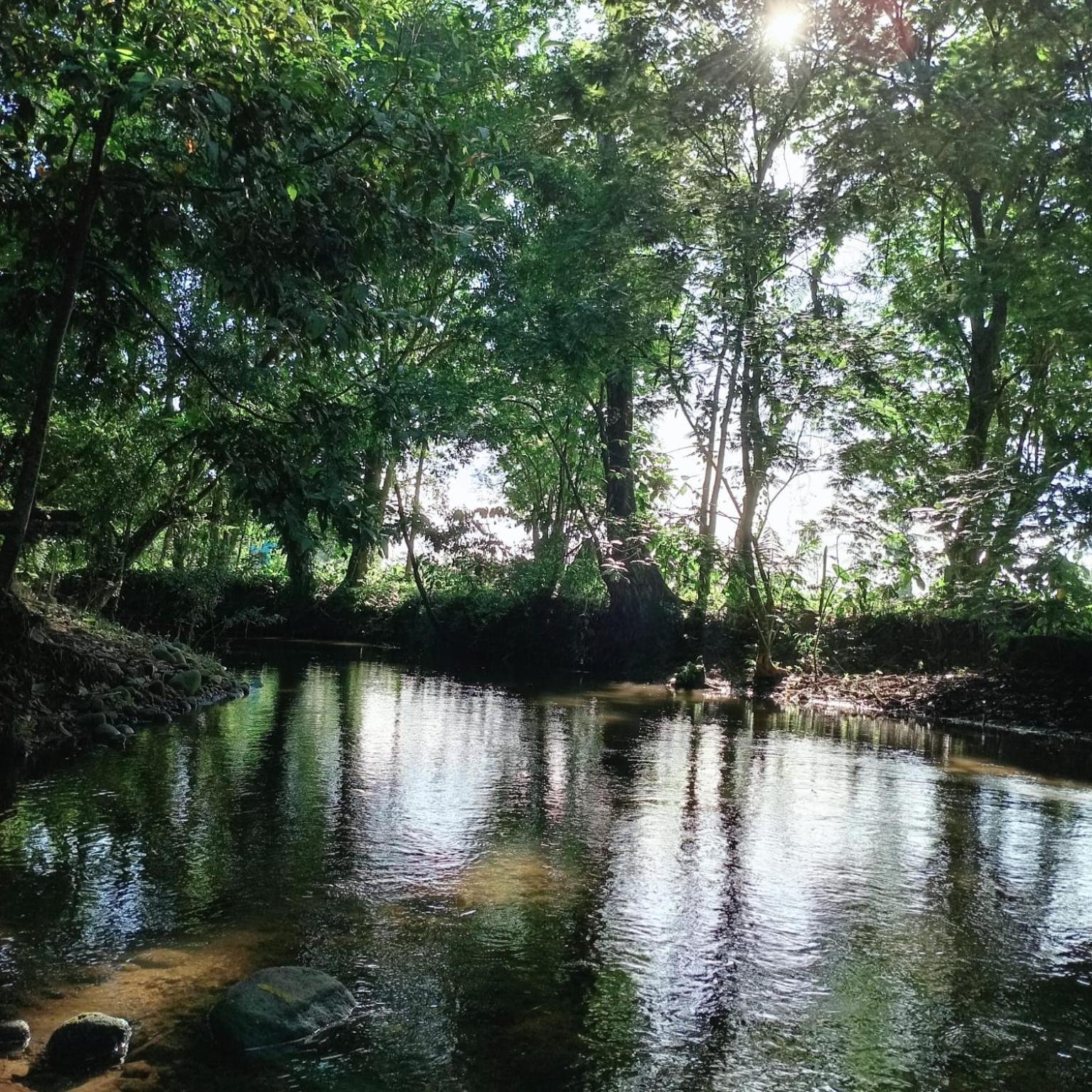 Glamping Naioth Διαμέρισμα Guápiles Εξωτερικό φωτογραφία