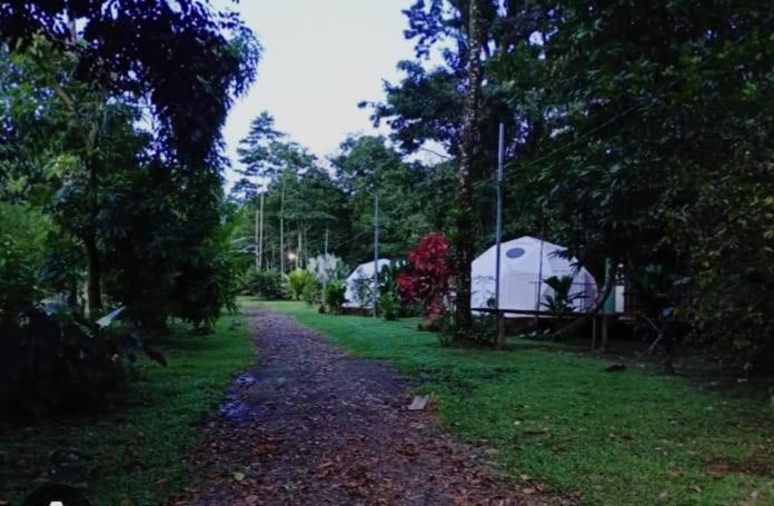 Glamping Naioth Διαμέρισμα Guápiles Εξωτερικό φωτογραφία