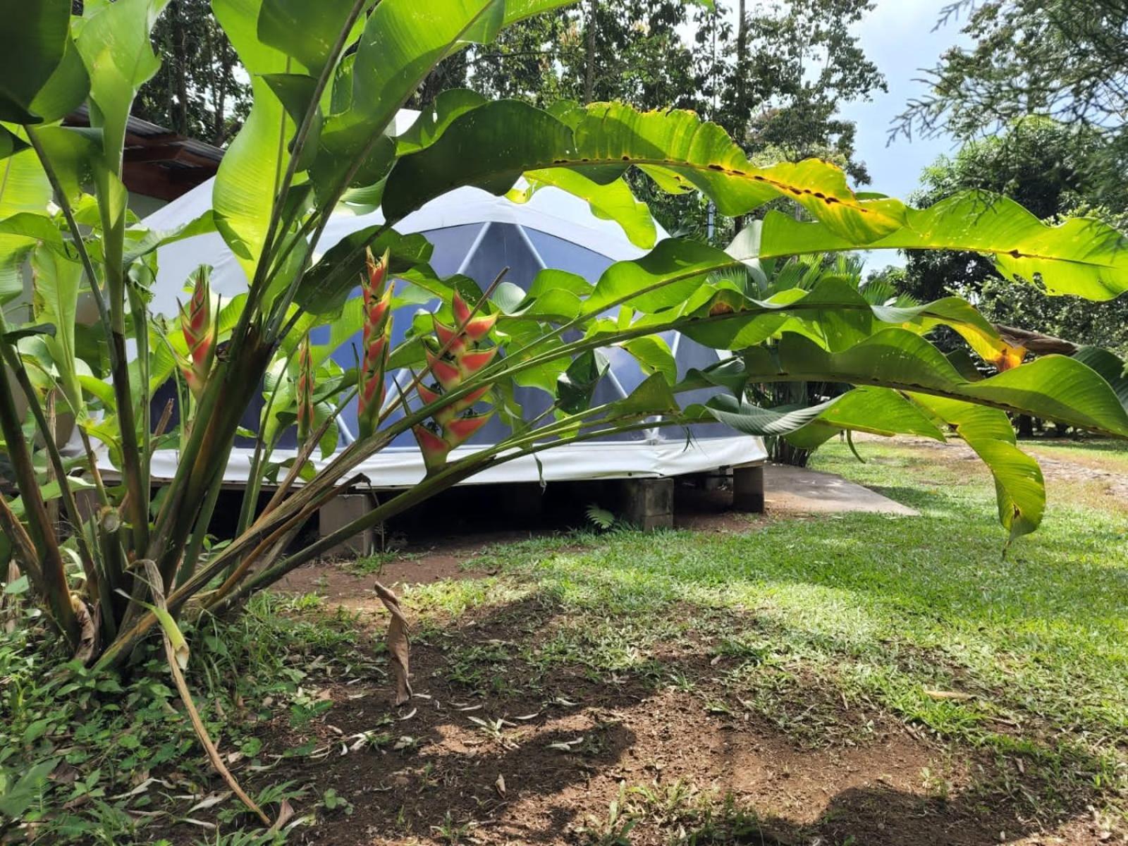 Glamping Naioth Διαμέρισμα Guápiles Εξωτερικό φωτογραφία