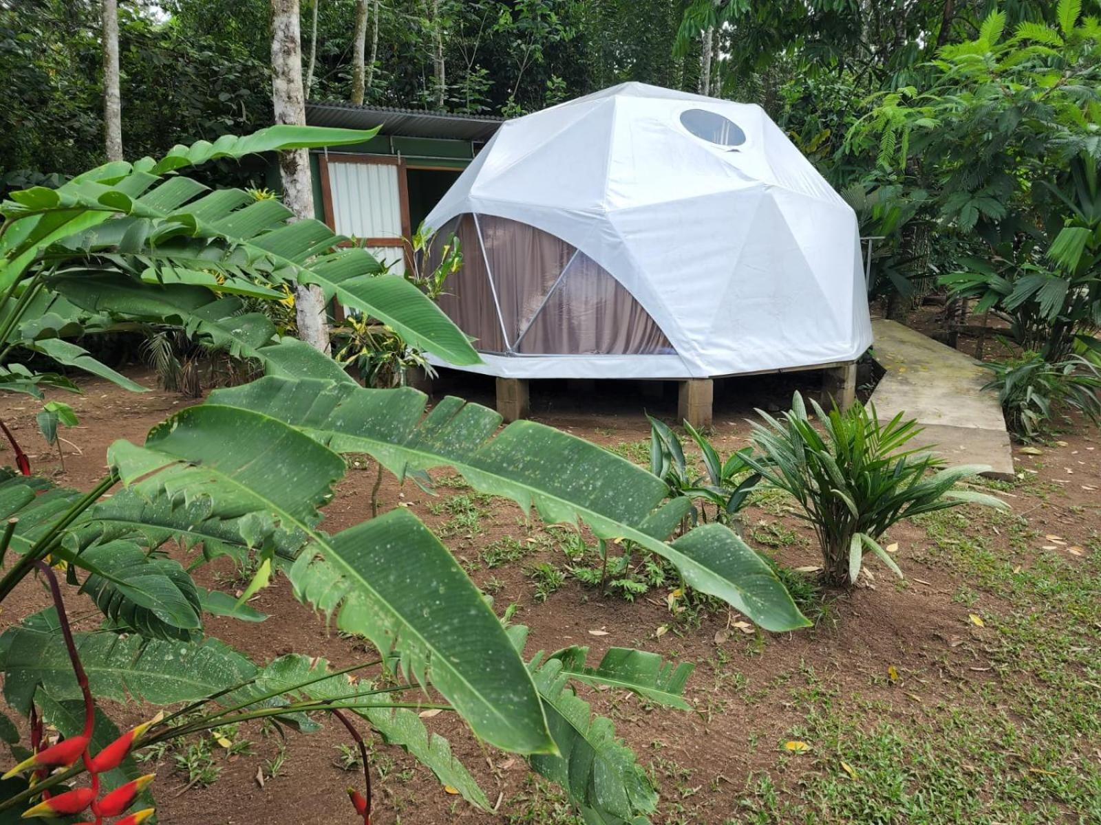 Glamping Naioth Διαμέρισμα Guápiles Εξωτερικό φωτογραφία