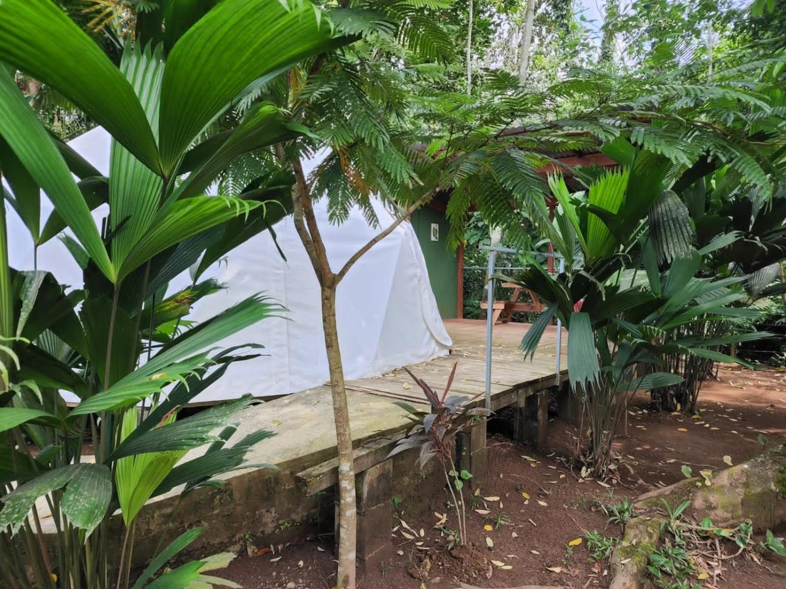 Glamping Naioth Διαμέρισμα Guápiles Εξωτερικό φωτογραφία