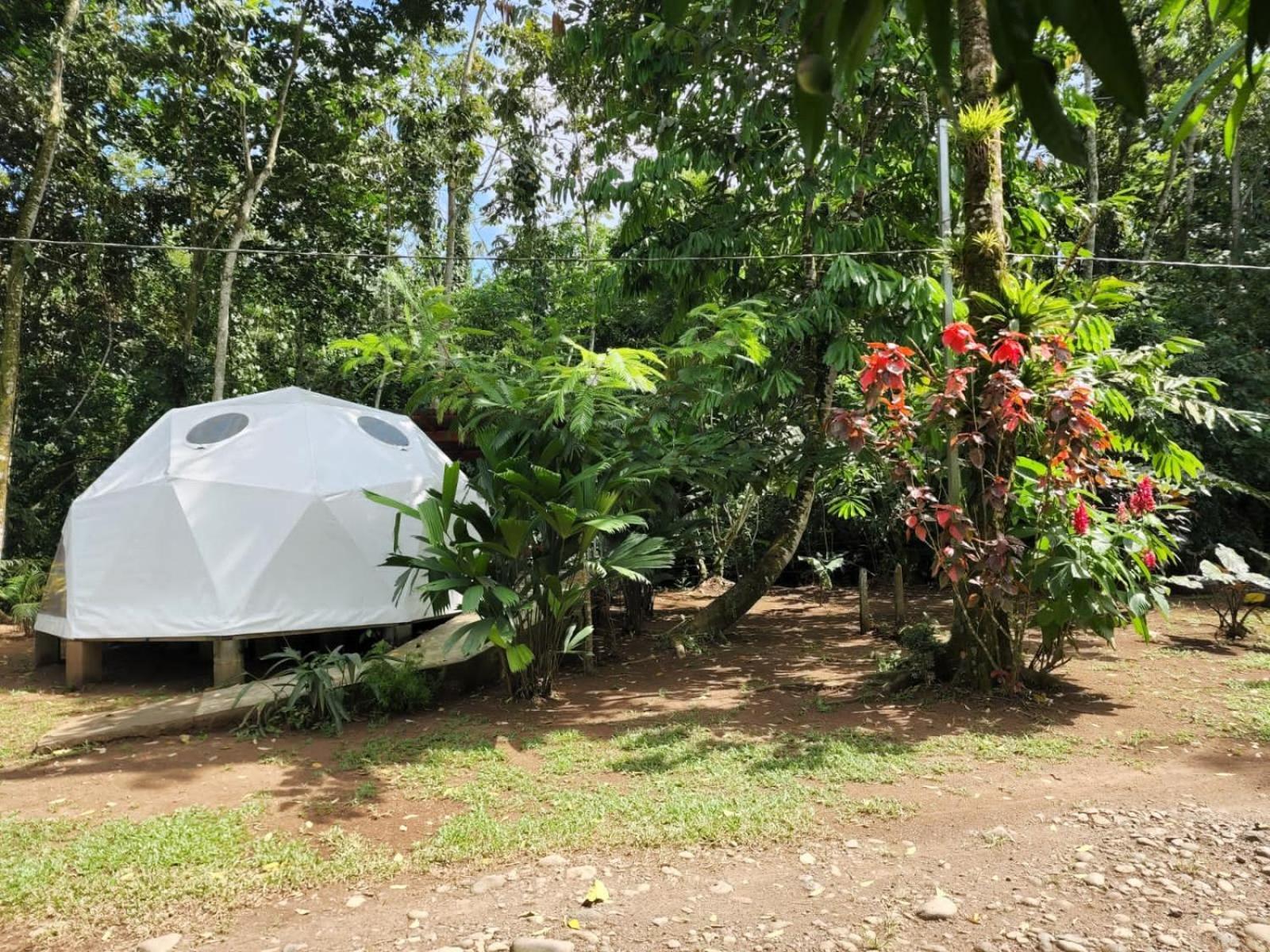 Glamping Naioth Διαμέρισμα Guápiles Εξωτερικό φωτογραφία